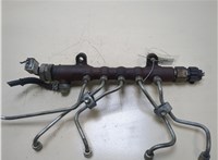 Рампа (рейка) топливная Toyota RAV 4 2006-2013 20312833 #1
