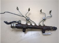  Рампа (рейка) топливная Toyota RAV 4 2006-2013 20312833 #3