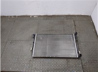  Радиатор охлаждения двигателя Skoda Fabia 2007-2010 20312920 #1