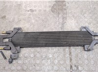 Радиатор АКПП Chrysler Pacifica 2003-2008 20312968 #2