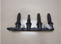  Катушка зажигания Opel Astra H 2004-2010 20313011 #1