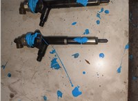  Форсунка топливная Opel Astra H 2004-2010 20313079 #1