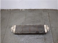  Радиатор интеркулера Volkswagen Transporter 5 2009-2015 20313148 #4