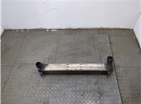  Радиатор интеркулера Renault Megane 3 2009-2016 20313161 #1