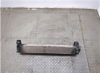  Радиатор интеркулера Renault Megane 3 2009-2016 20313161 #5