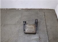  Радиатор интеркулера Volkswagen Passat 5 2000-2005 20313197 #1