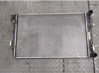  Радиатор охлаждения двигателя Skoda Roomster 2006-2010 20313245 #1