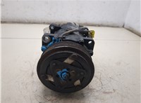6453JN Компрессор кондиционера Peugeot 406 1999-2004 20313285 #6