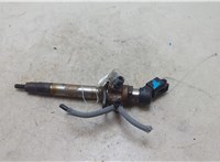 6H4Q9K546DB Форсунка топливная Land Rover Range Rover 3 (LM) 2002-2012 20313297 #9