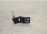  Петля крышки багажника Volkswagen Transporter 5 2003-2009 20313321 #1