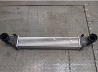  Радиатор интеркулера Mercedes CLS C219 2004-2010 20313330 #1