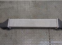  Радиатор интеркулера Mercedes CLS C219 2004-2010 20313330 #2