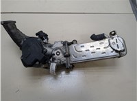  Клапан рециркуляции газов (EGR) Mercedes E-Coupe C207 2009- 20313465 #1