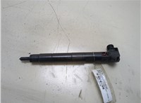 A6510704987 Форсунка топливная Mercedes E-Coupe C207 2009- 20313478 #1