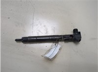 A6510704987 Форсунка топливная Mercedes E-Coupe C207 2009- 20313480 #1