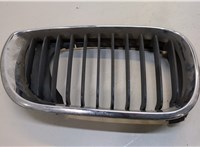  Решетка радиатора BMW 3 E46 1998-2005 20313563 #1