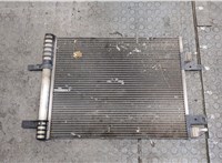  Радиатор кондиционера Citroen C5 Aircross 2018-2022 20313603 #1