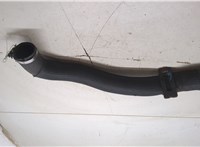 9807540580 Патрубок интеркулера Peugeot Expert 2016-2025 20313604 #7