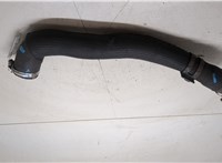 9807540580 Патрубок интеркулера Peugeot Expert 2016-2025 20313604 #8