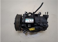 Компрессор кондиционера Citroen C3 picasso 2009-2017 20313881 #1