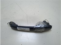  Ручка двери наружная Volkswagen Sharan 2000-2010 20313941 #1