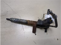 A6420700587 Форсунка топливная Mercedes CLS C219 2004-2010 20314018 #1