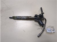 A6420700587 Форсунка топливная Mercedes CLS C219 2004-2010 20314024 #1
