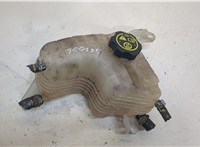  Бачок расширительный Opel Ampera 2011-2015 20314070 #1
