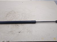  Амортизатор крышки багажника Ford Escape 2001-2006 20314685 #1