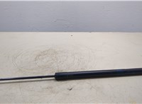  Амортизатор крышки багажника Ford Escape 2001-2006 20314688 #1