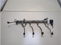 Рампа (рейка) топливная Mercedes C W204 2007-2013 20314940 #1