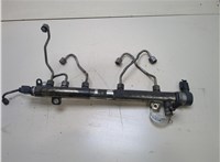 A6460701895 Рампа (рейка) топливная Mercedes Sprinter 2006-2014 20315179 #1