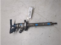 1633633 Форсунка топливная Ford Focus 2 2008-2011 20315894 #1