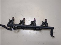  Форсунка топливная Renault Megane 2 2002-2009 20316166 #1