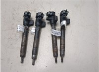  Форсунка топливная Peugeot Boxer 2014- 20316418 #1