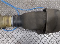  Пневмоподушка Volkswagen Touareg 2010-2014 20316546 #1