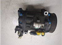  Компрессор кондиционера Peugeot 407 20316680 #6