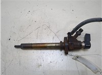 1980J4 Форсунка топливная Peugeot 407 20316686 #1