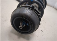 344061, 93170514 Амортизатор подвески Opel Astra G 1998-2005 20317318 #5