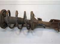  Амортизатор подвески Hyundai Santa Fe 2000-2005 20317390 #1