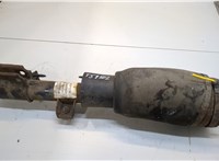  Амортизатор подвески Land Rover Range Rover 3 (LM) 2002-2012 20317471 #1