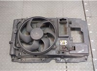  Вентилятор радиатора Peugeot Partner 2002-2008 20317479 #1