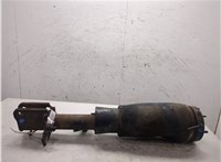 RNB500550, 6H423C156BA Амортизатор подвески Land Rover Range Rover 3 (LM) 2002-2012 20317612 #4