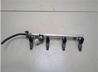  Форсунка топливная Hyundai Santa Fe 2005-2012 20317613 #1