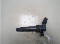  Катушка зажигания Hyundai Santa Fe 2005-2012 20317614 #1