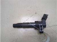 Катушка зажигания Hyundai Santa Fe 2005-2012 20317617 #1