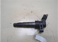  Катушка зажигания Hyundai Santa Fe 2005-2012 20317619 #1