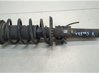  Амортизатор подвески Skoda Fabia 2007-2010 20317739 #1