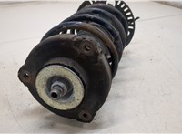  Амортизатор подвески Skoda Fabia 2007-2010 20317739 #2