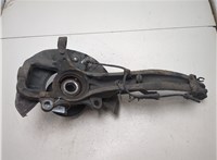 7H0498611, 7L6407257A, 7L6615311 Ступица (кулак, цапфа) Volkswagen Touareg 2007-2010 20317910 #4